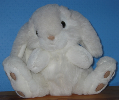 Harvey