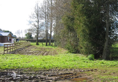 Driveway