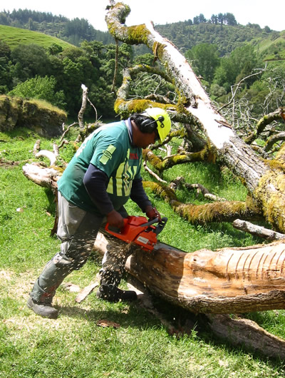Chainsaw course