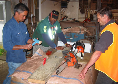 Chainsaw course