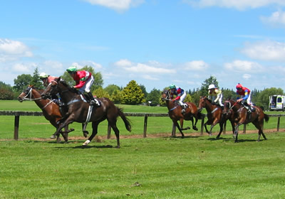 Pirongia races