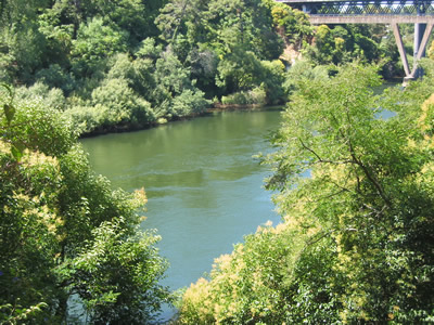 Waikato River