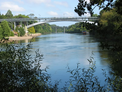 Waikato River