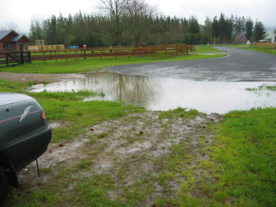 Flood