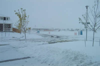 Colorado snow