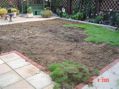 Maisie's garden