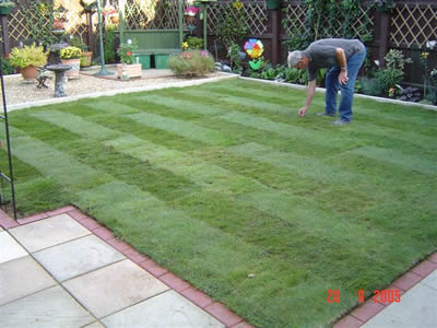 Maisie's garden