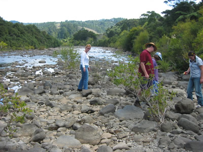Kauaeranga Bush Walk