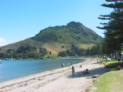 The Mount