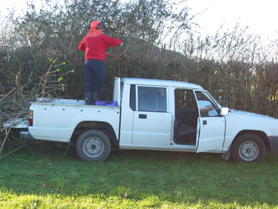 Trimming the top hedge