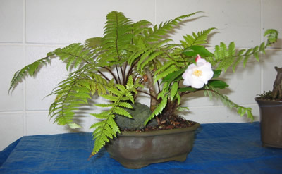 August 2005