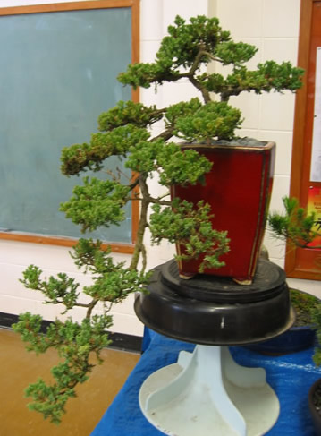 July 2005