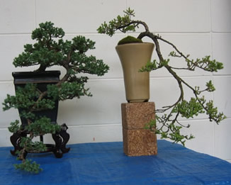 July 2005