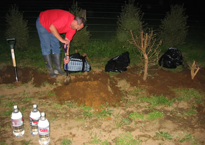 Planting at night