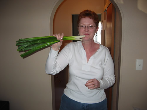 Spring onions