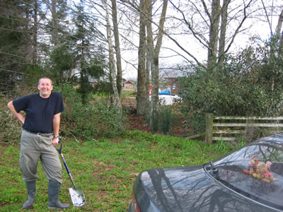 Transplanting trees